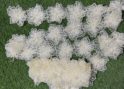 Exquisite 5D Fancy Cutwork Flower Lace for Festive Pakistani Attire #20